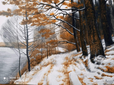 Первый снег